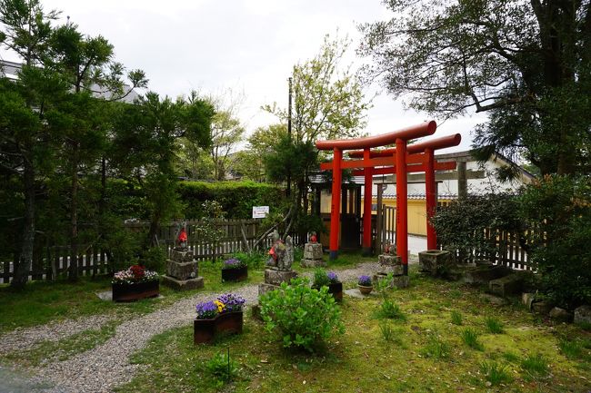 早朝の出雲大社へひとり参拝 出雲市 島根県 の旅行記 ブログ By 外さん フォートラベル