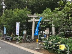 駅から10分ほど歩くと、駅からハイキングの五つ目の目的地、指扇氷川神社です。
時間の関係で、いきなり五つ目の目的地までショートカットしてしまいました。