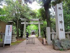 赤坂駅からぶら～り徒歩10分程度で赤坂氷川神社（http://www.akasakahikawa.or.jp/）に到着。

ここは初訪問ですが、都内赤坂にあってうっそうと茂った森の中にある静寂な神社って印象。