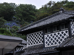 公園を出ると、そこには海鼠壁が美しい旧澤村邸が。
その前からも、今降りて来た下田公園の紫陽花が見えていた。