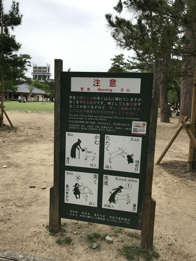 この注意書き！！<br /><br />かむ<br />たたく<br />突く！！！<br />突進！！！！！<br /><br />こわい。