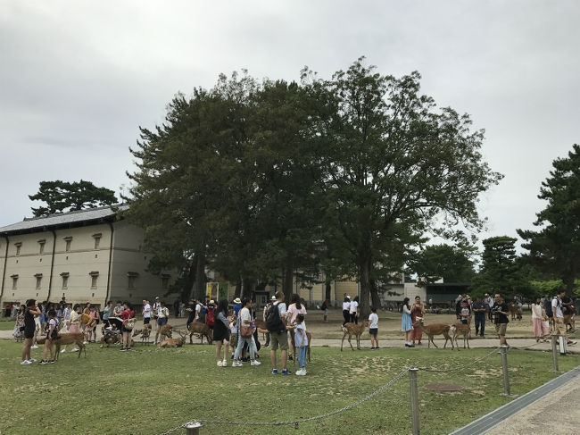 なんて、わたしは近寄らず歩いてるけど、<br />みなさんは楽しそうにせんべいあげてました＊^^＊<br /><br />奈良県立美術館をぶらり。<br />期間限定の展示が「地獄・極楽への扉」で。<br />地獄ってこわい・・・。<br />ほぼ見ず。笑