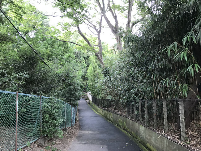 ささやきの小経を通って、