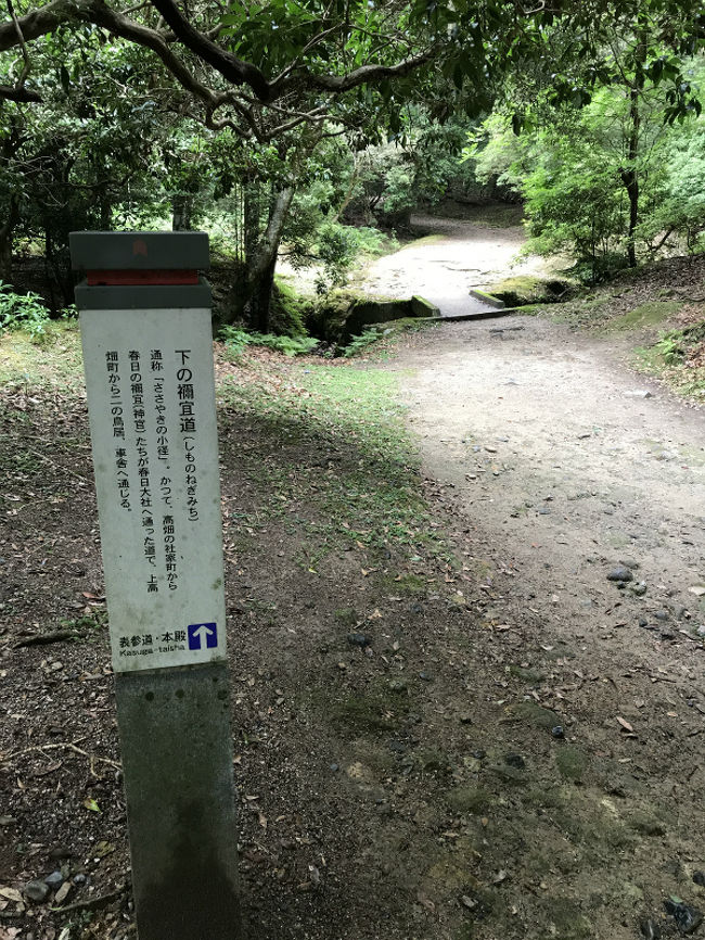 横から入ったみたいです。^^