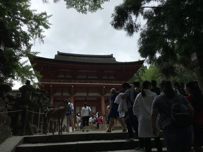 鹿がすごいー！<br />においもすごいー^^：<br /><br />帰りはバスでホテルまで、荷物を受け取りJRで大阪へ。