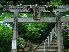 7：30　吉備津（きびつ）神社

昨晩出発して山陽道/吉備SAにて車中泊、6時起床。
30種、2000株の紫陽花が見頃入り。


拝観料　無料
駐車場　無料