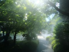 14：10　日本庭園　由志園（ゆうしえん）

牡丹で有名だけど四季を通していろんな花が見られる日本庭園。
今は紫陽花と花菖蒲が見頃。


入園料　800円
※750円の前売り券有り
駐車場　無料