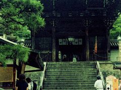 やっと長谷寺に到着

お寺に近くなると商店や飲食店もあり。
少し賑やか？な感じになったのです。

拝観料を払い門を抜ける