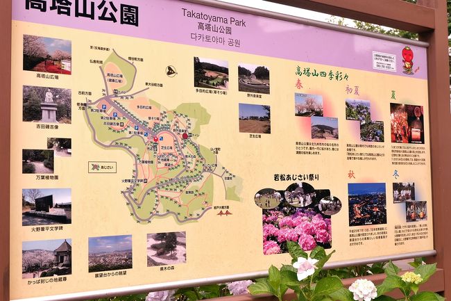 18年 若松 高塔山 あじさい祭り あじさい三昧 若松 福岡県 の旅行記 ブログ By ゆかちん さん フォートラベル 18年 若松 高塔山 あじさい祭り あじさい三昧 若松 福岡県 の旅行記 ブログ By ゆかちん さん フォートラベル