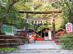 野宮神社

源氏物語「賢木」
・・・ものはかなげなる小柴垣を大垣にて、板屋どもあたりあたりいと かりそめなり。 
黒木の鳥居ども、さすがに神々しう見わたされて・・・

小柴垣、黒木の鳥居。
やっぱりここが源氏物語の舞台なんだなあ。
いっぱい看板があるんで、神々しいという雰囲気はぶちこわしだけど・・・。
