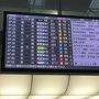 飛行機飛びますか？初めての八丈島