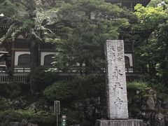 初めて来ました。永平寺。
我が家は曹洞宗。その総本山の永平寺。
なんか平穏な心の中に、ざわめくような高揚が。