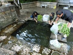 麗江古城の奥地にある「三眼井」。
きれいな水でみんな野菜を洗っている。
