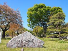 駿府城公園のソメイヨシノなどの桜の時期はまだ見れてないので、また機会があれば