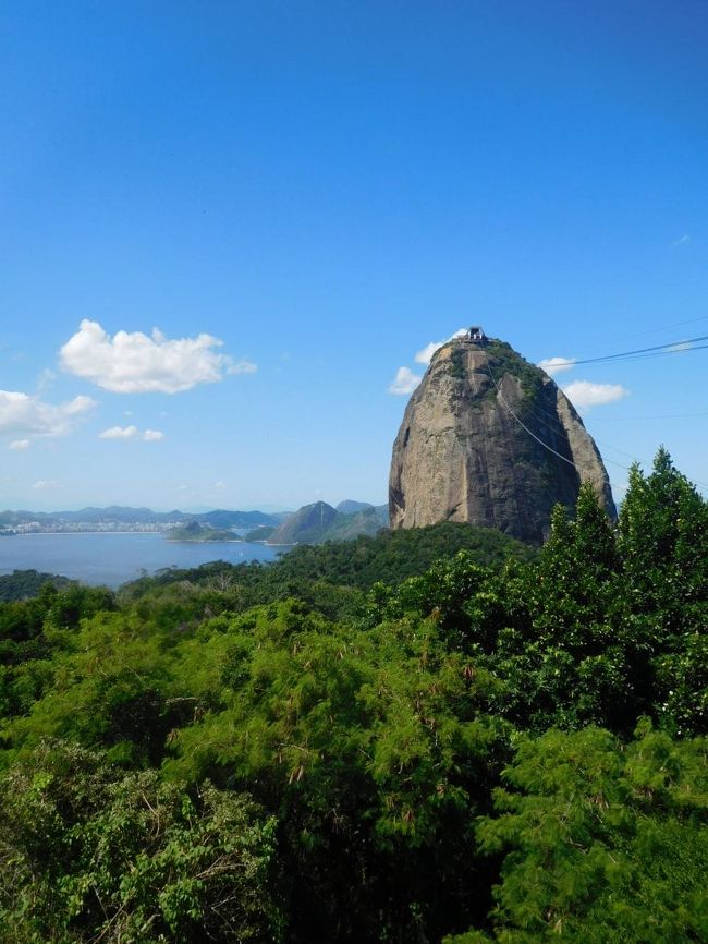 縦に撮影すると、いっそう美しい光景ですね！