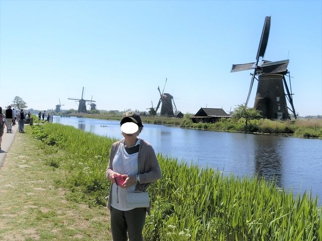 クノックの風車、ベルギー （晩春のベルギー旅行（22