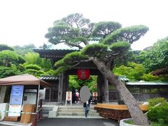 御霊神社から歩いて数分、長谷寺です。