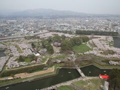 五稜郭タワー上階からのながめ
桜がきれい！！