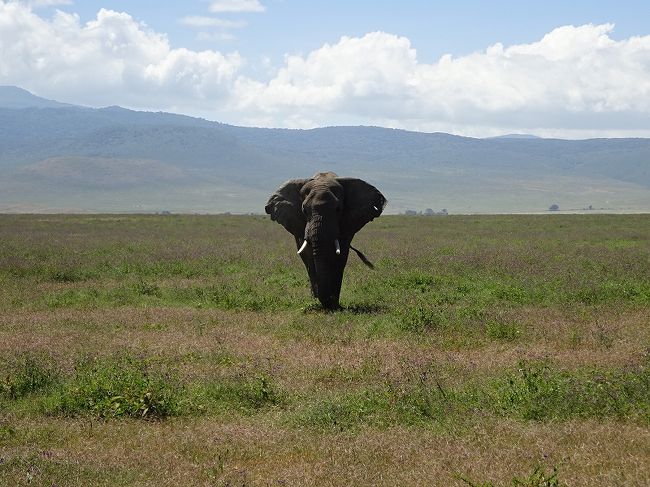 ンゴロンゴロ自然保護区 タンザニア 18 6 10 ンゴロンゴロ自然保護区周辺 タンザニア の旅行記 ブログ By Fernandoさん フォートラベル