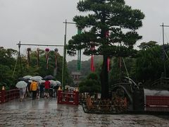 鶴岡八幡宮は大雨でも人気です