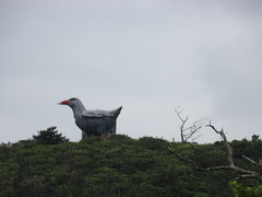 辺戸岬へ行く途中で思い出して見に来たヤンバルクイナ展望台！

