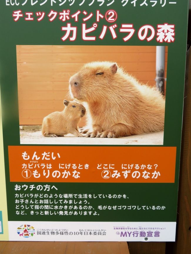 ３年ぶりの那須どうぶつ王国を満喫 １ 東北新幹線でのアクセス グルメ おみやげ編 串焼きベーコンと那須和牛ステーキに舌鼓 どうぶつ王国いろいろ 那須 栃木県 の旅行記 ブログ By まみさん フォートラベル
