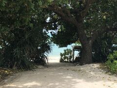 船に乗って武富島へ。
往復1150円（waon支払い可）
一時間300円のレンタル自転車借りました。

雨のち曇りの予報だったのにとってもいい天気。

30度くらいだったのかな。梅雨とは思えない暑さ！！