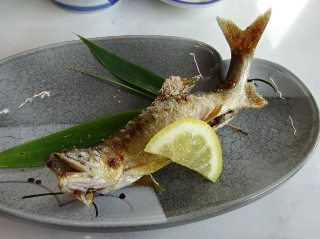 知る人ぞ知る奥三河花の木公園 日本3大美堰堤で鮎料理をいただく 新城 愛知県 の旅行記 ブログ By 三毛猫美花さん フォートラベル 知る人ぞ知る奥三河花の木公園 日本3大美堰堤で鮎料理をいただく 新城 愛知県 の旅行記 ブログ By 三毛猫美花さん フォートラベル