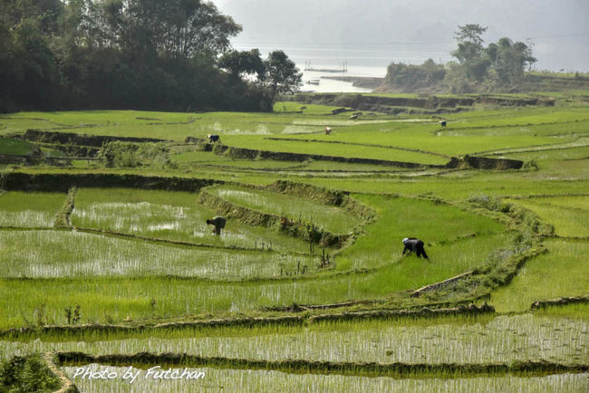 ここでは民族衣装を着た人には会えず<br />その代わり子供達の笑顔を貰って村を後にする。<br /><br />この村は比較的標高が低いので田植えも早い方で、<br />大人達は総出で田植えに勤しんでいた。<br />