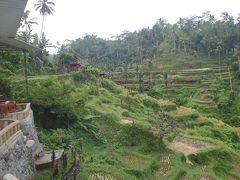 「tegallalang-rice-terraces」テガララン村 ライステラス

棚田を眺めるカフェでランチをしました☆
バリ料理がいただけます☆

バリは日本と同じく、稲の苗を作ってから
田んぼに植えるそうです。
ただ三期作というとても速いスパン。
農家さんは常に繁忙期ですね。
私達が行った時期は稲刈りの時期でした。


http://www.bali-indonesia.com/ubud/tegallalang-rice-terraces.htm