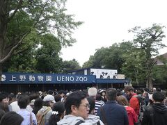 向かった先はもちろん上野動物園です。