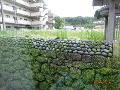 珍しい石垣の積み方です。ここは福江の石田城跡の武家屋敷通りです。