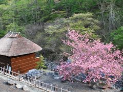 庭園に一歩でれば、ほのかな硫黄の香りに包まれます。
