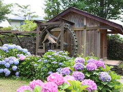 開成町あじさいの里　水車小屋

この日は動いていませんでしたが、実際に使われているのでしょうか？