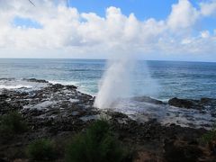 カウアイ島 ２日目観光

潮吹き穴
溶岩でできた岩の穴から海水が吹き上がる。