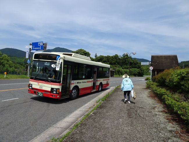 伯耆大山登山 夏山登山道 弥山 行者登山道 大山周辺 鳥取県 の旅行記 ブログ By Mondoさん フォートラベル 伯耆大山登山 夏山登山道 弥山 行者登山道 大山周辺 鳥取県 の旅行記 ブログ By Mondoさん フォートラベル