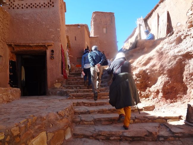 登って登って！