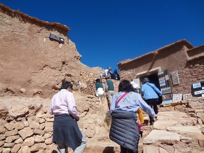 さらに上を目指します。<br />ちょっと勾配がきつくなった気が……？！