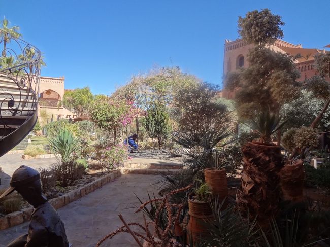 中庭は植物が溢れています。