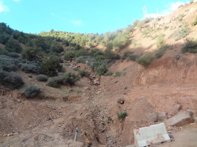 あ、何だか土の色が変わったみたい。