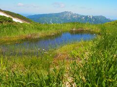 ＜帰り：浅草岳～六十里登山口＞
帰りに気が付いた！
小さいですが池糖もあります。
守門岳とワタスゲも咲いていました♪