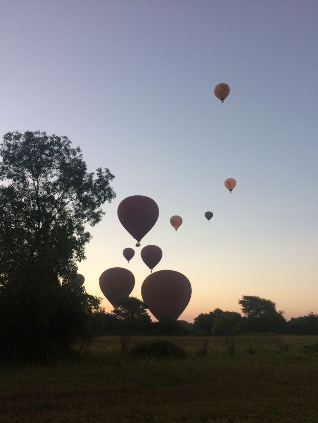 準備が整った気球から次々に空に飛び立っていく。<br />ワクワクは最高潮!!!<br />私の気球はまだかなー。