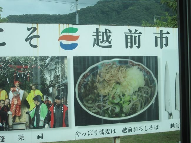 そばも食べれば良かった