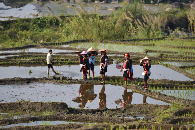 ＜配置につく美女軍団＞