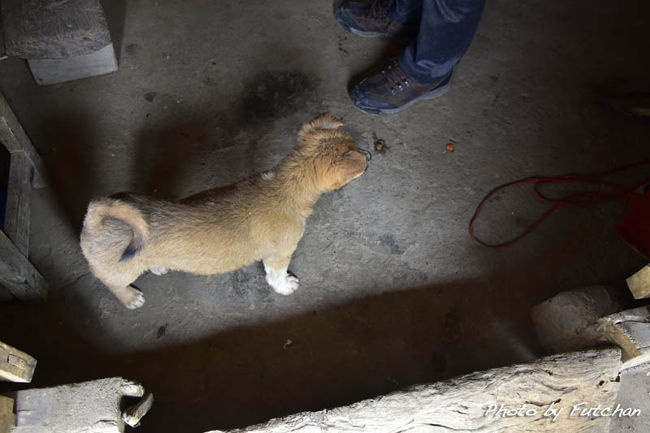 ＜もう一匹私の足下に家族がいました＞