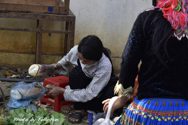 ＜タケノコも旬です＞