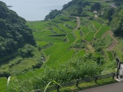 　次は浜野浦の棚田。
青々して綺麗。でも、下まで降りて写真を撮るなんてことはせず、道路から。
この前はちゃんと展望台まで降りて撮ったのに・・・
