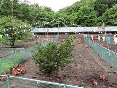 エサをあげられたと思ったんだけどな……。

「浅間とり牧場」