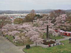 白石城の三階櫓（天守閣）に登って、桜を眺めてみました。

遠目に眺めると、まだまだとてもキレイです。