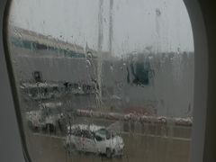 アンマン・クイーン・アリア国際空港4：20発のアリタリア航空821便は、4時間弱のフライトで朝のローマ・フィウミチーノ国際空港に到着した。

窓の外は雨。

寝不足の上にテンションだだ下がり。
